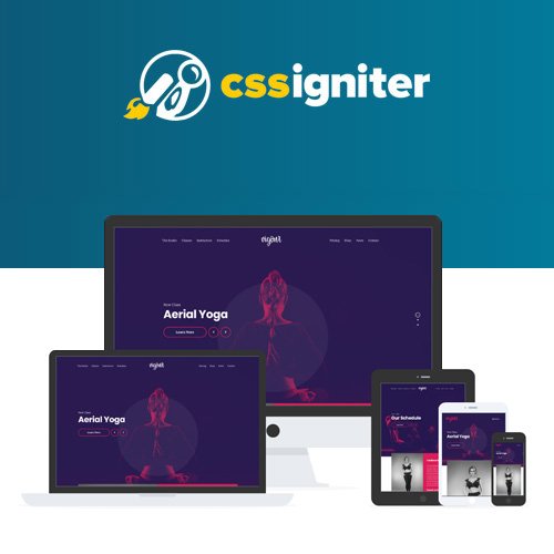 CSS Igniter Vigour WordPress Theme