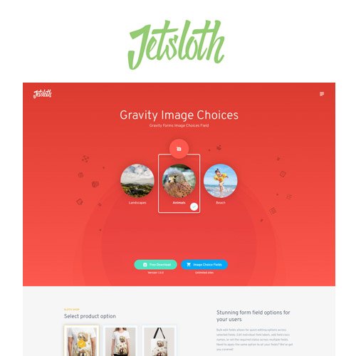 Jetsloth Gravity Forms Image Choices