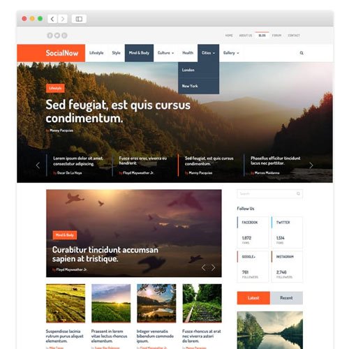 MyThemeShop SocialNow WordPress Theme