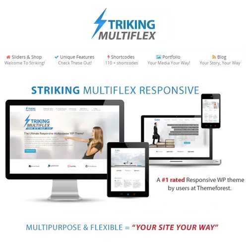 Striking MultiFlex Ecommerce Responsive WP Theme