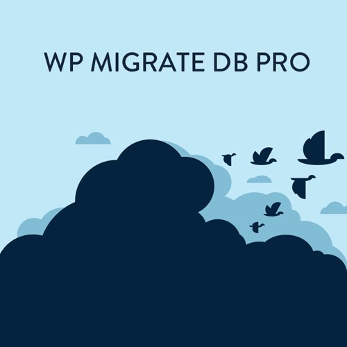 WP Migrate DB Pro